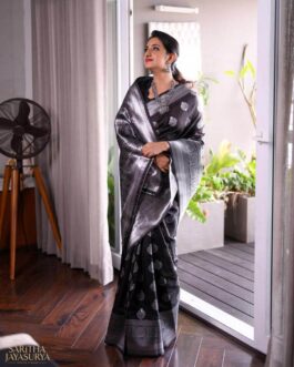 Soft Banarasi Silk Saree With Weaving Silver Zari Heavy Pallu Zari Woven Border And Running Blouse