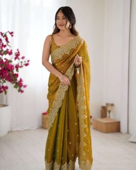 Designer Two Tone Fendy Chiffon Party Wear Saree with Embroidered Border and Satin Silk Blouse