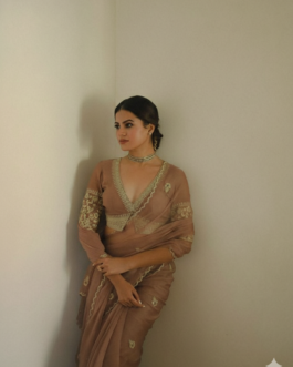 Pure Organza Saree with Embroidery Sequins Coding Buta & Valmoti Handwork Border with Designer Blouse